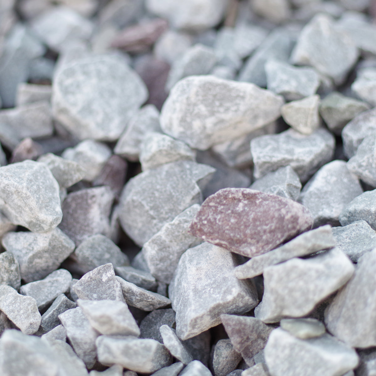 IMGP4096_58f6bf96-43b8-4e4f-